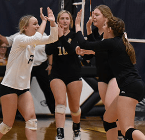 Volleyball players giving each other high fives