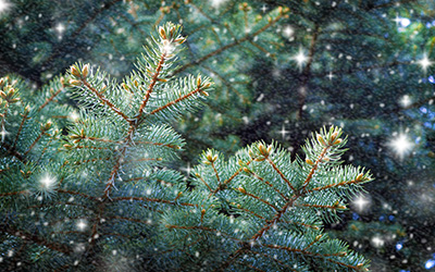 ’Twas the Season in Heber-Overgaard