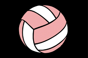 pink and white volleyball