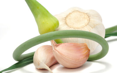 Let’s Talk Garlic!