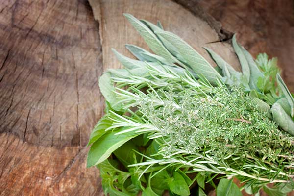 herbs to harvest