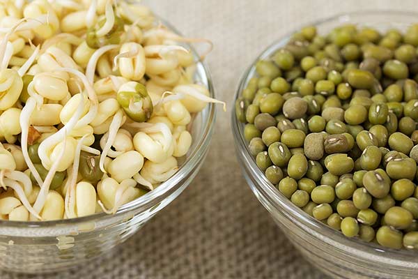 Mung bean sprouts