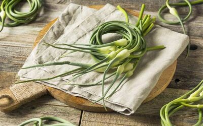 Don’t Compost That! The Delicious Garden Harvest You’re Probably Throwing Away