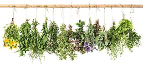 herb flowers and how to use