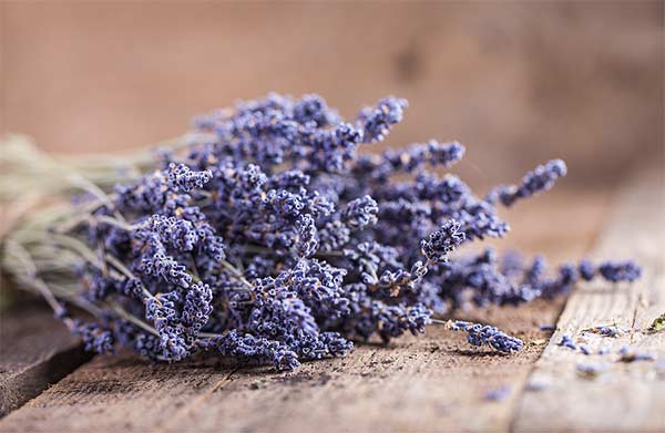 Using lavender in recipes