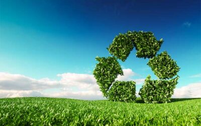 Nature’s Recycling Program: How to Make Compost with What You Already HaveFrom pine needles and pea vines to kitchen scraps and garden trimmings, discover how high-country gardeners can turn local materials into rich, soil-building compost.