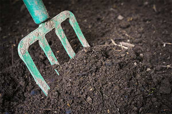 garden compost