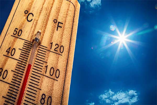 garden heat