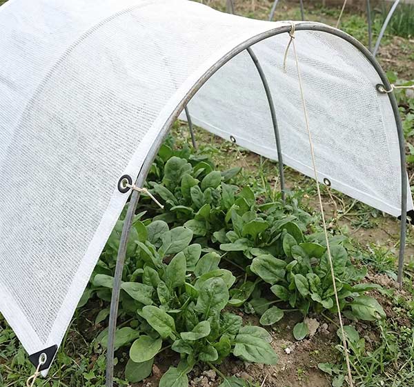 shade cloth for gardens