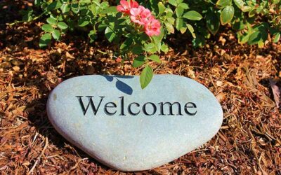 Join the Movement: How Our Community Garden Is Creating a More Resilient Future