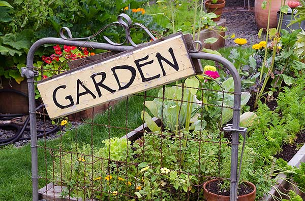 Resilience beyond the garden gate