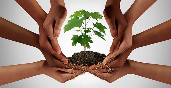 Getting started with community resilience