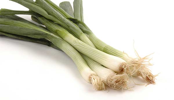 Start growing seed onions