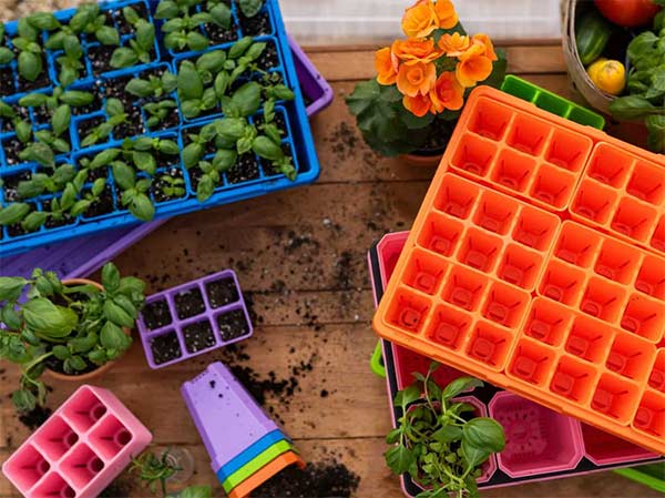 seed trays for growing seeds in zone 6b