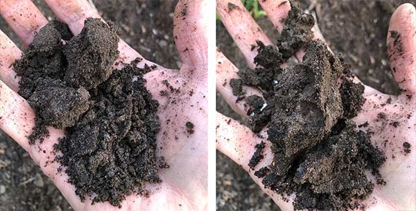 soil squeeze test