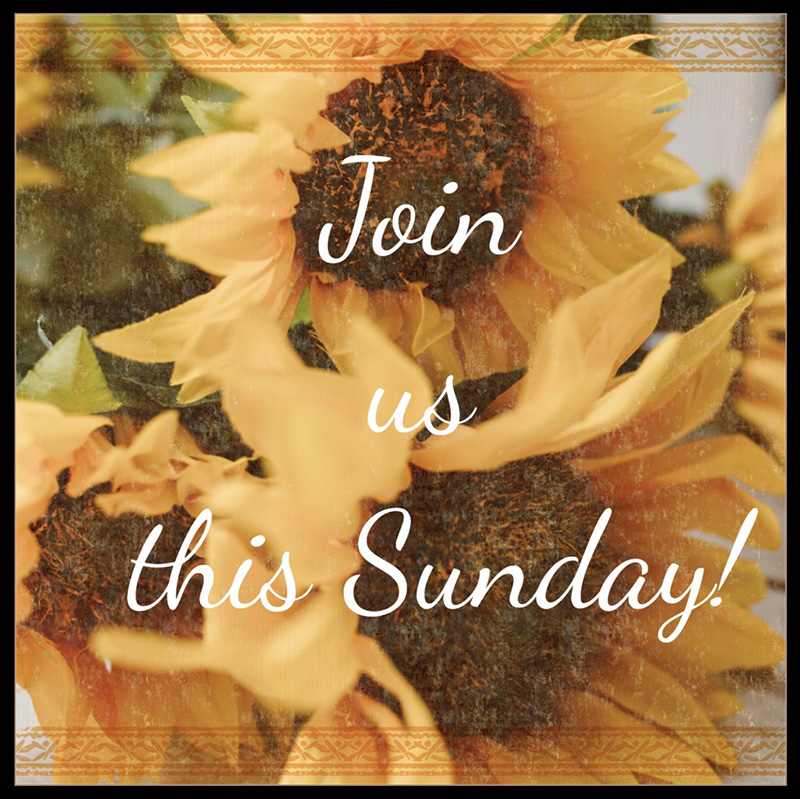 Background with sunflowers and text with Join us this Sunday!