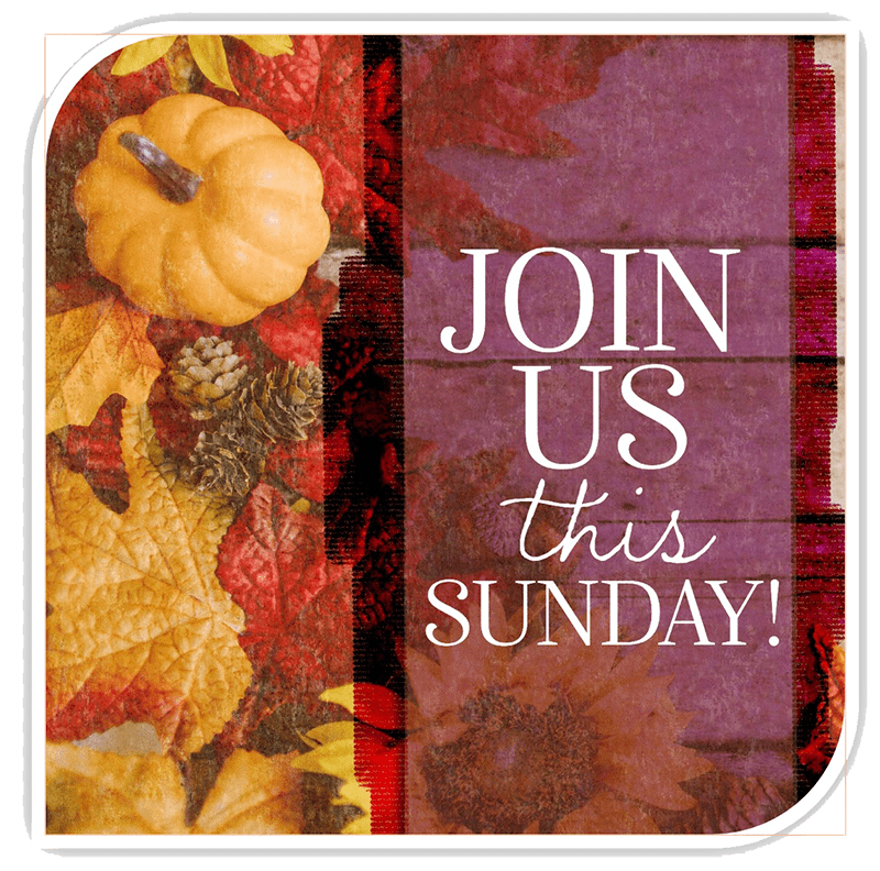 Join Us this Sunday
