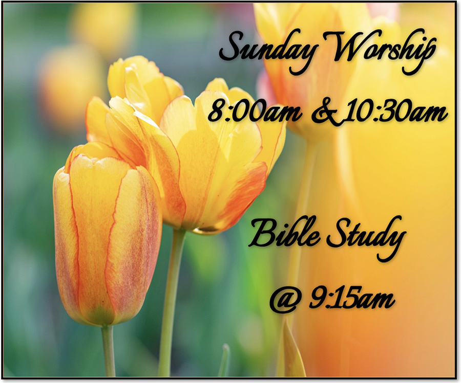 Sunday Worship 8:00 and 10:30 a.m., Bible Study at 9:15 a.m.