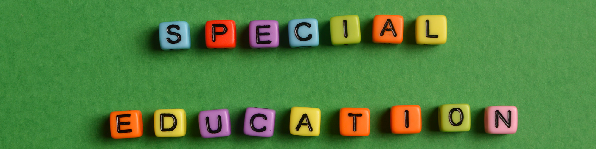 lettered beads that spell special education