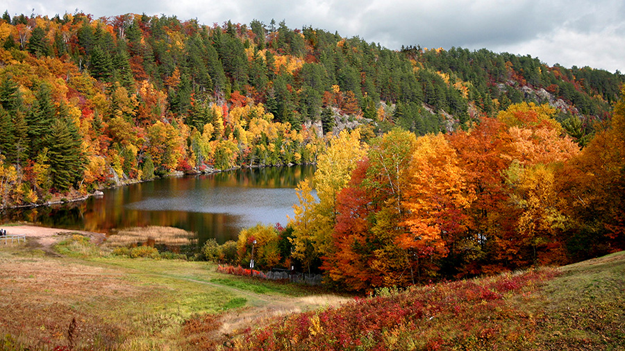 Fall 2025 Junior High Honor Roll