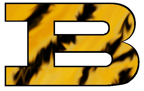 Blanket Independent School District Home