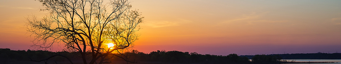 Beautiful Texas sunset