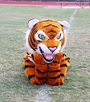 Tiger mascot on the football field
