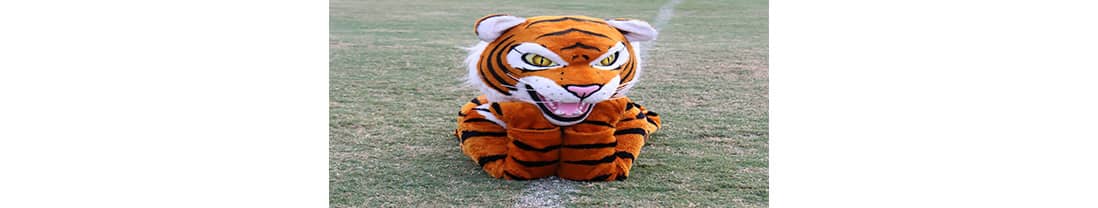 Tiger mascot on field
