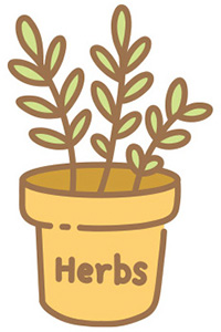 Herb plant