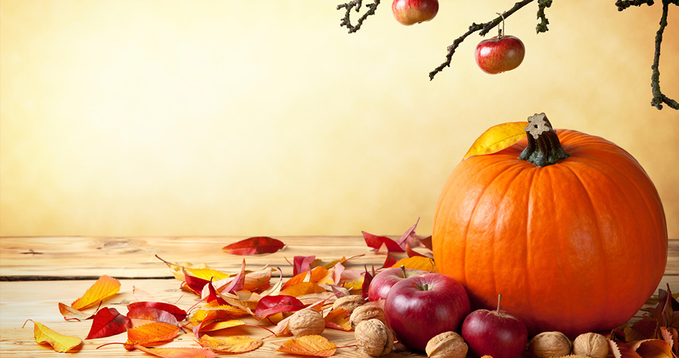 Big pumpkin next to apples, nuts, and leaves