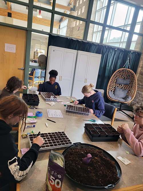 Students at large table potting seedlings