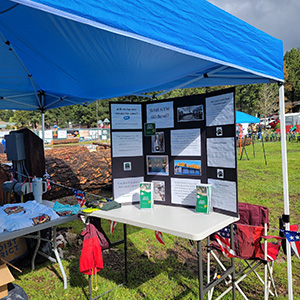 Lumberjack bond display
