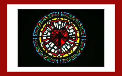 Welcome to Our New Website