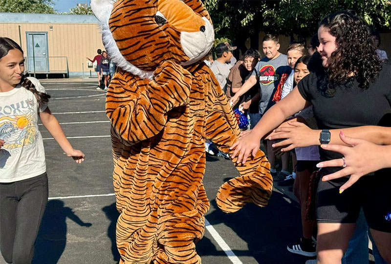 School mascot tiger giving students high fives