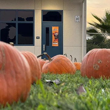Closeup of some pumpkins on the grass in front of the school building Closeup of some pumpkins on the grass in front of the school building