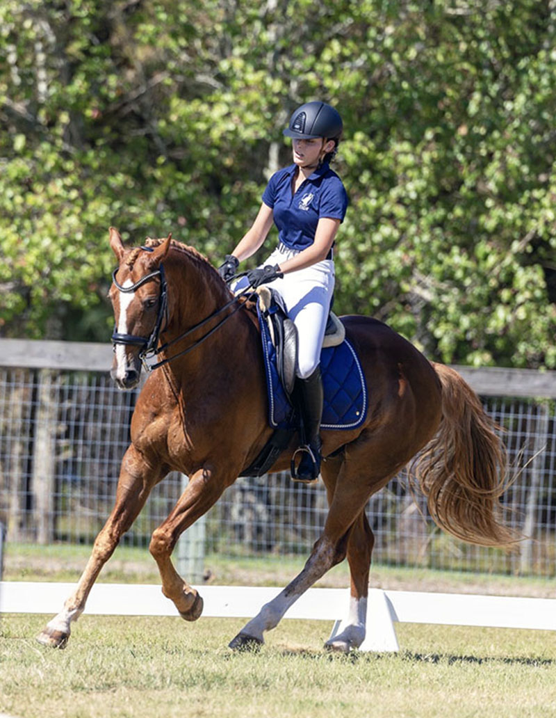 Sophia Metcalf riding horse