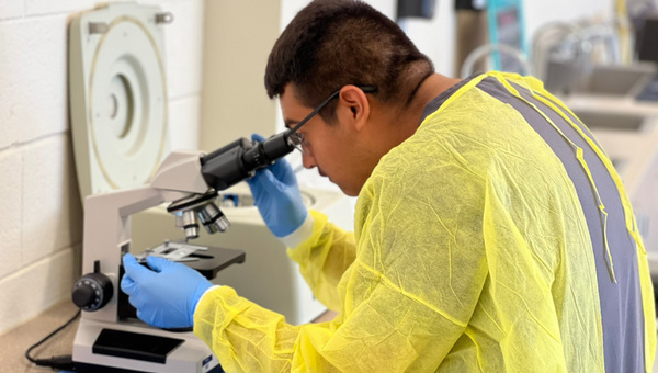 A student looking into a microscope