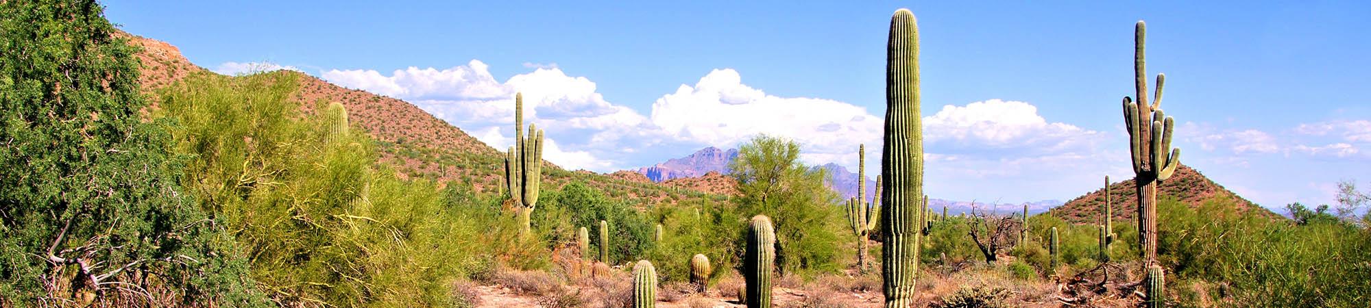 Beautiful Arizona landscape