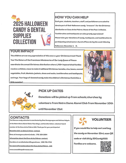2025 Halloween Candy & Dental Supplies Collection flyer