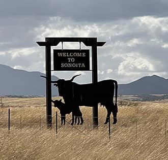 A sign that reads WELCOME TO SONOITA with a longhorn and her baby below it
