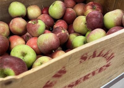 red and green apples