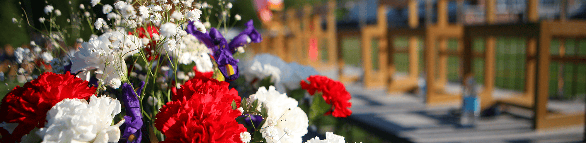 Red and white flowers